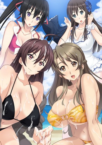Ane ni Kono Natsu / Summer with elder sisters / Лето со старшими сестрами